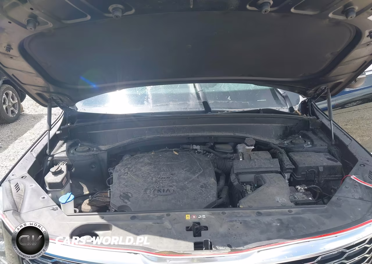 2020 Kia Telluride S VIN:5XYP6DHC9LG066760 - 10