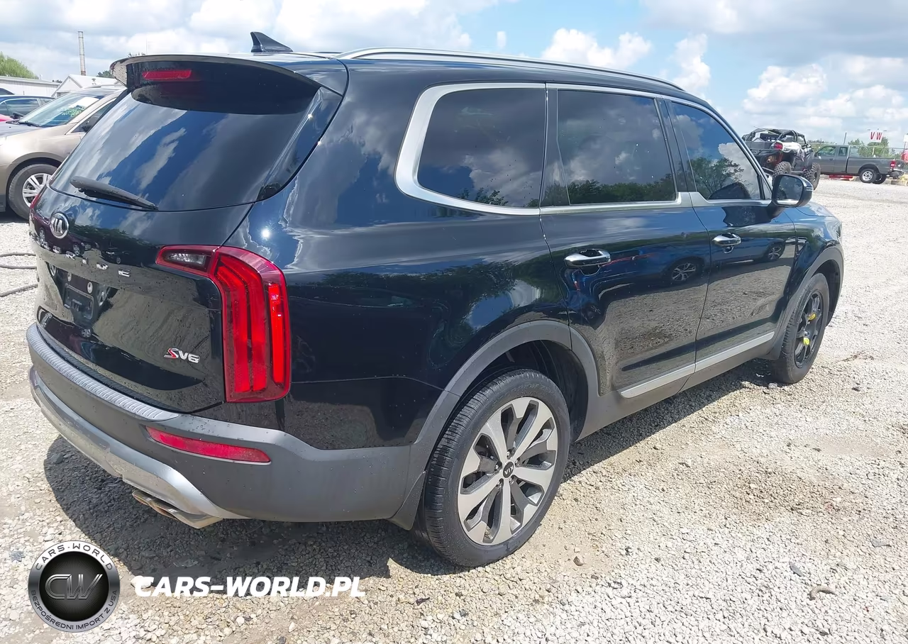 2020 Kia Telluride S VIN:5XYP6DHC9LG066760 - 4