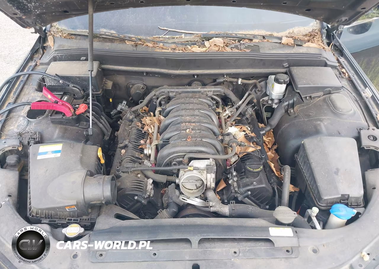 2011 Hyundai Genesis 4.6 VIN:KMHGC4DFXBU118575 - 10