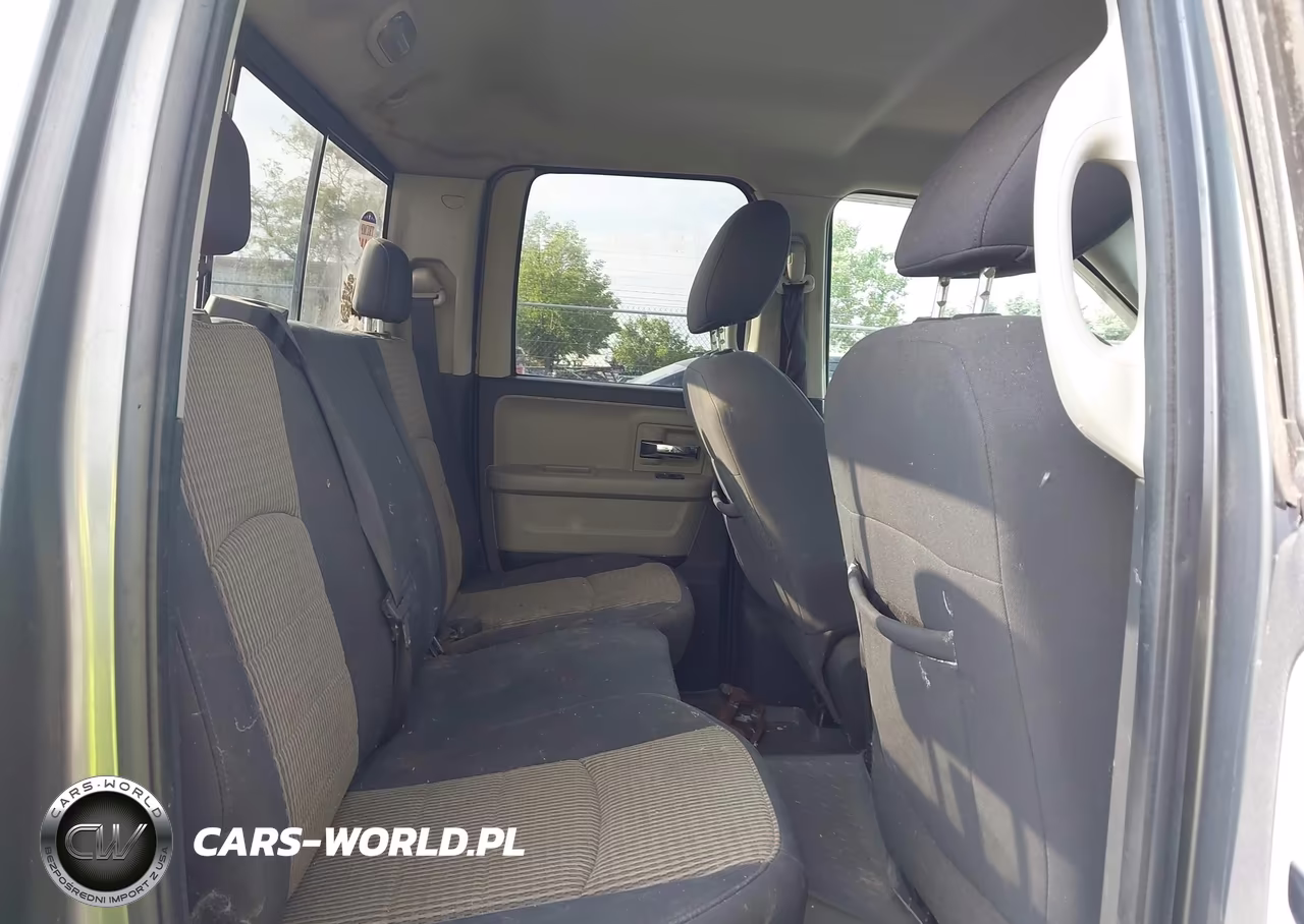 2010 Dodge Ram 1500 Slt-Sport-Trx VIN:1D7RV1GT2AS115161 - 8