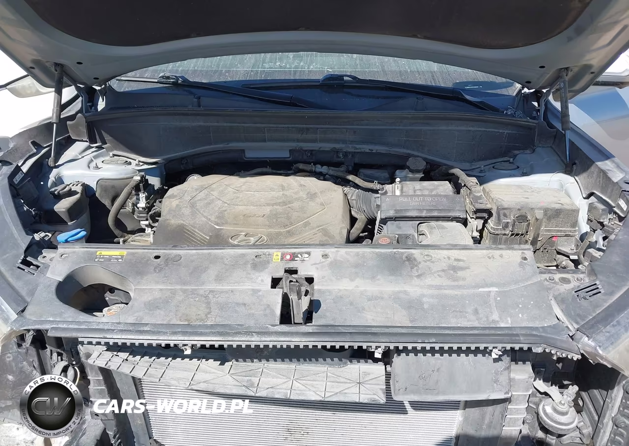 2020 Hyundai Palisade Limited VIN:KM8R54HE0LU045397 - 10