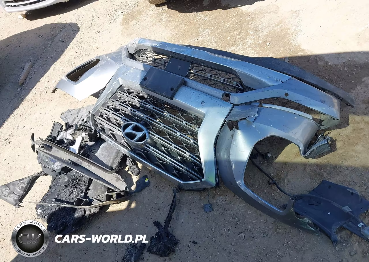 2020 Hyundai Palisade Limited VIN:KM8R54HE0LU045397 - 12