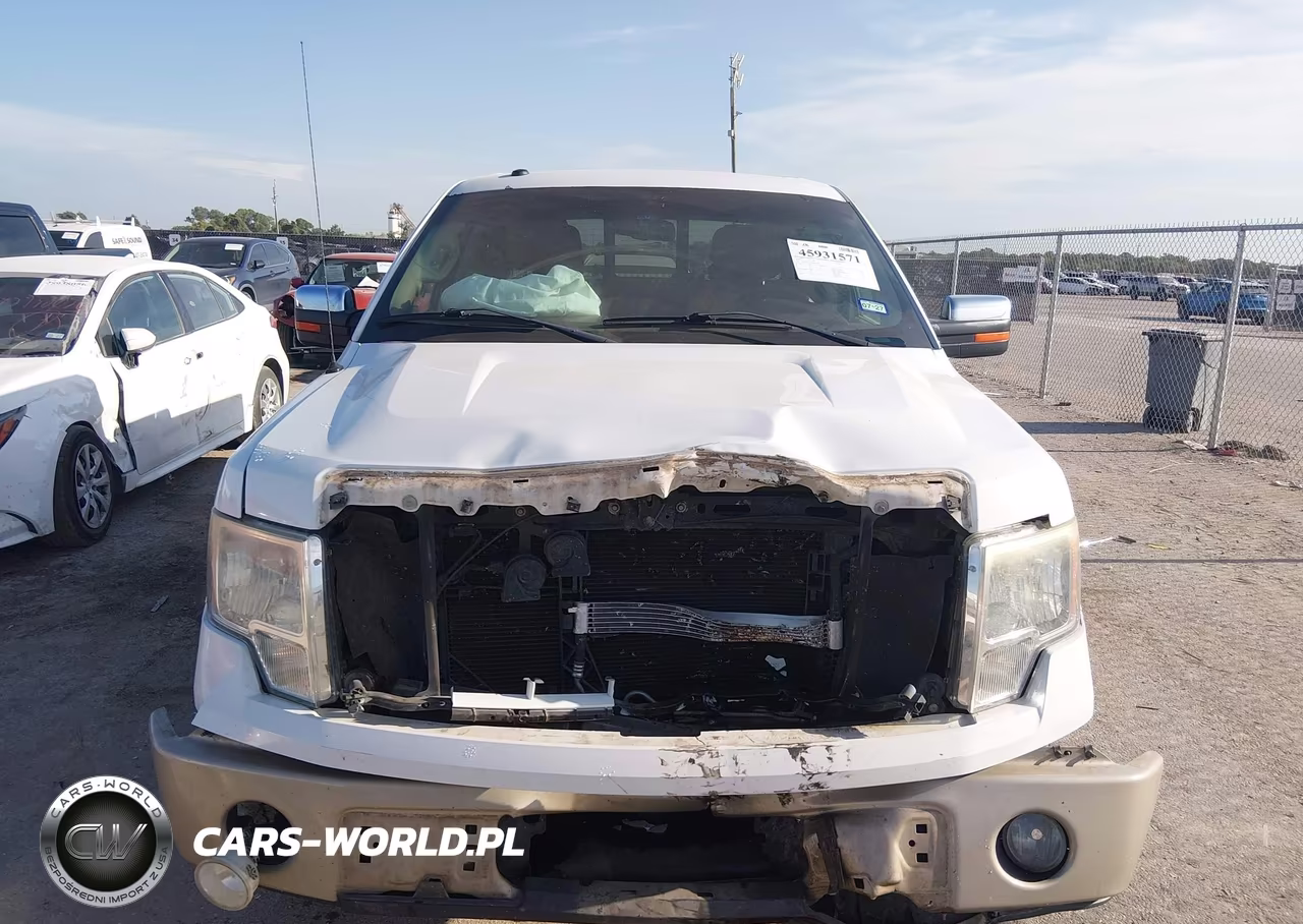 2010 Ford F-150 Fx2 Sport-Harley-Davidson-King Ranch-Lariat-Platinum-Xl-Xlt VIN:1FTFW1CV9AKB04255 - 12