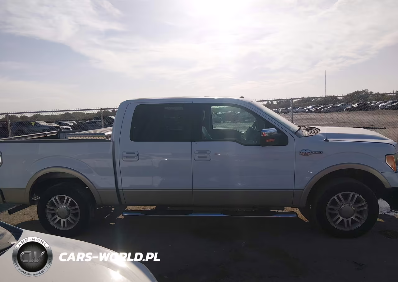 2010 Ford F-150 Fx2 Sport-Harley-Davidson-King Ranch-Lariat-Platinum-Xl-Xlt VIN:1FTFW1CV9AKB04255 - 13