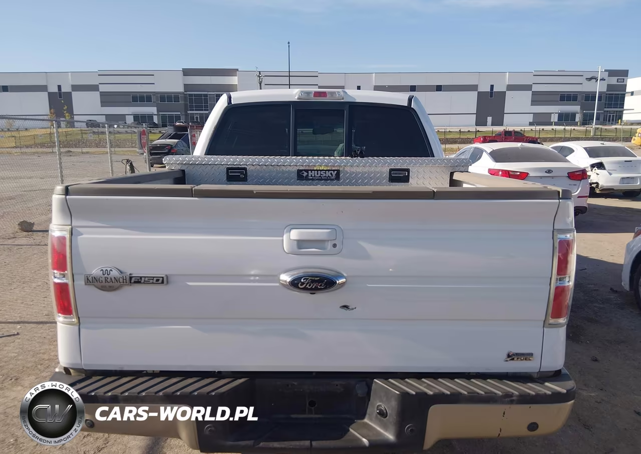 2010 Ford F-150 Fx2 Sport-Harley-Davidson-King Ranch-Lariat-Platinum-Xl-Xlt VIN:1FTFW1CV9AKB04255 - 16
