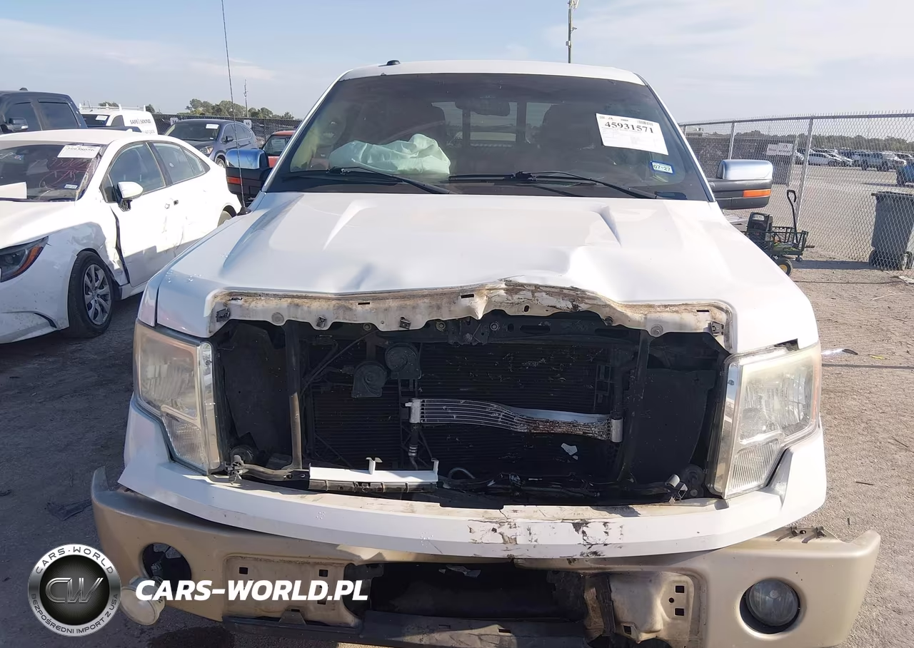 2010 Ford F-150 Fx2 Sport-Harley-Davidson-King Ranch-Lariat-Platinum-Xl-Xlt VIN:1FTFW1CV9AKB04255 - 6