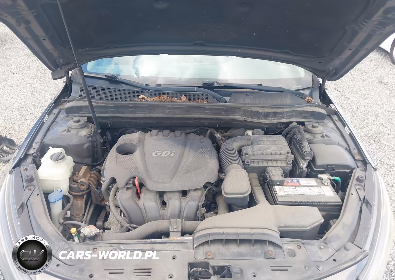 2014 Kia Optima Lx VIN:5XXGM4A79EG314130 - 10