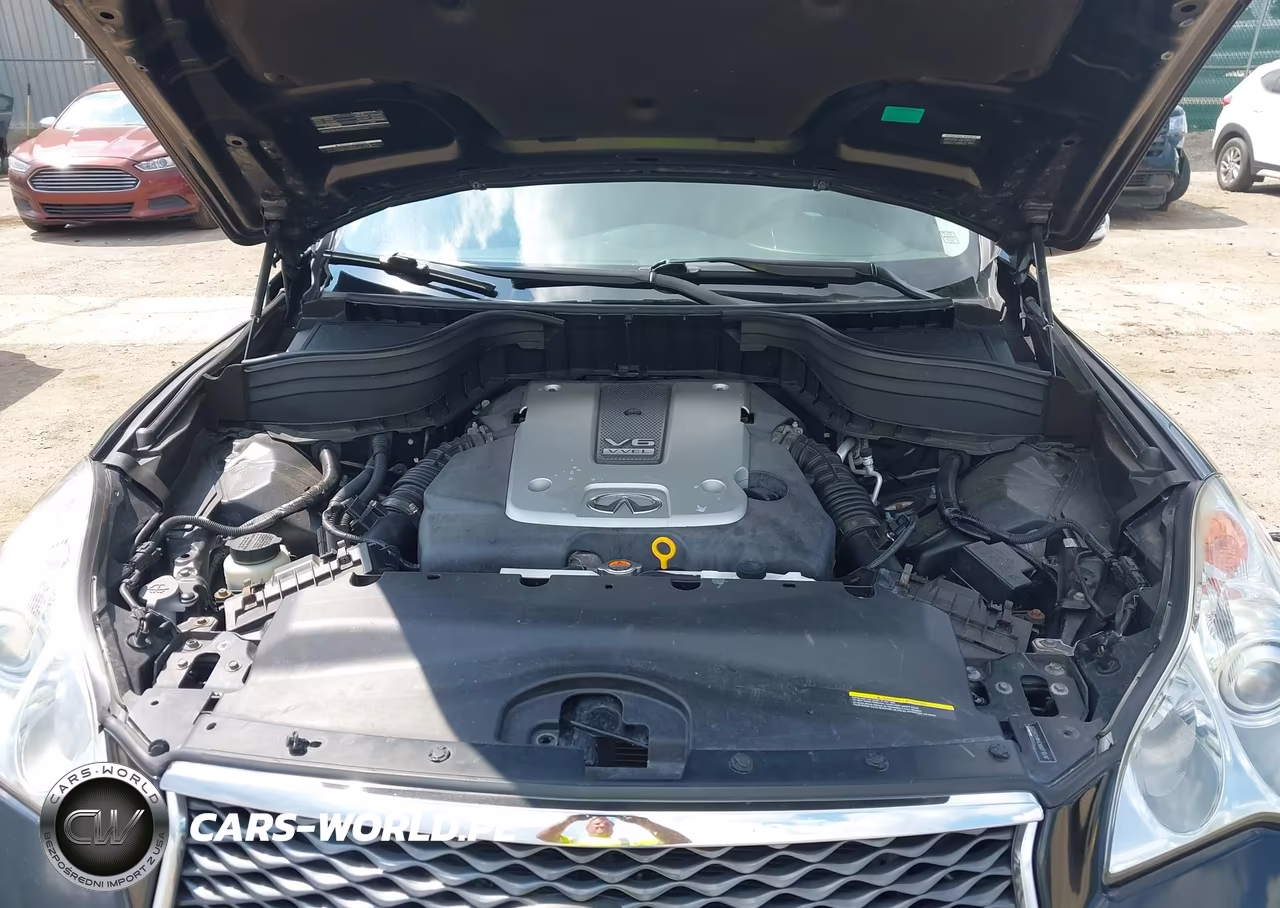2017 Infiniti Qx50 VIN:JN1BJ0RR3HM409009 - 10