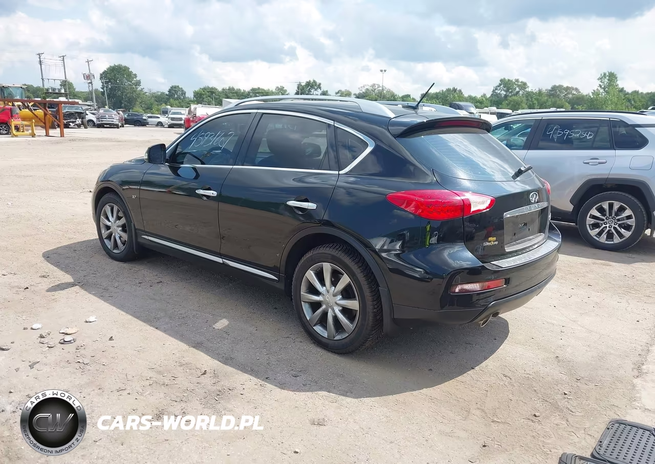 2017 Infiniti Qx50 VIN:JN1BJ0RR3HM409009 - 3