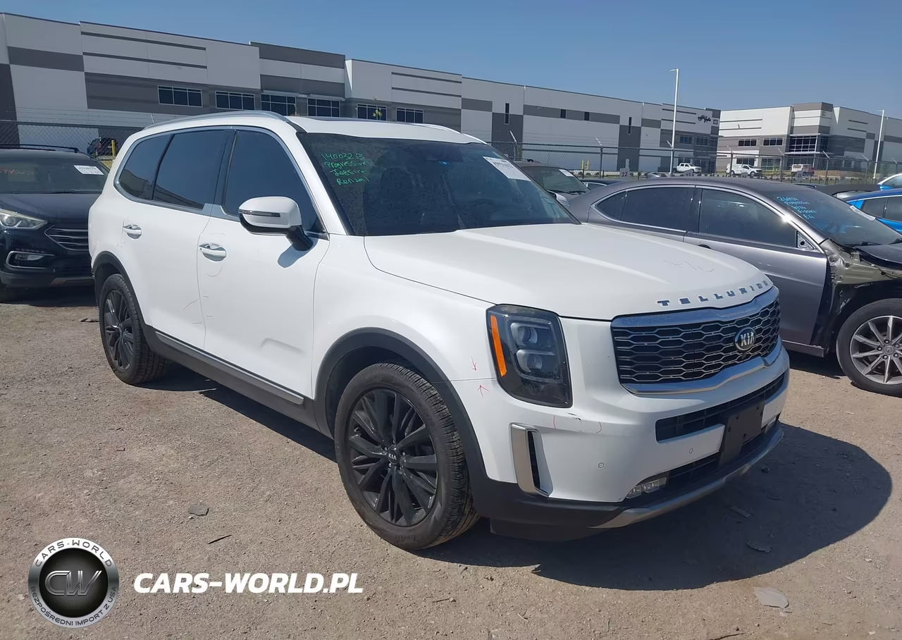 2020 Kia Telluride Sx VIN:5XYP5DHC6LG053161 - 1