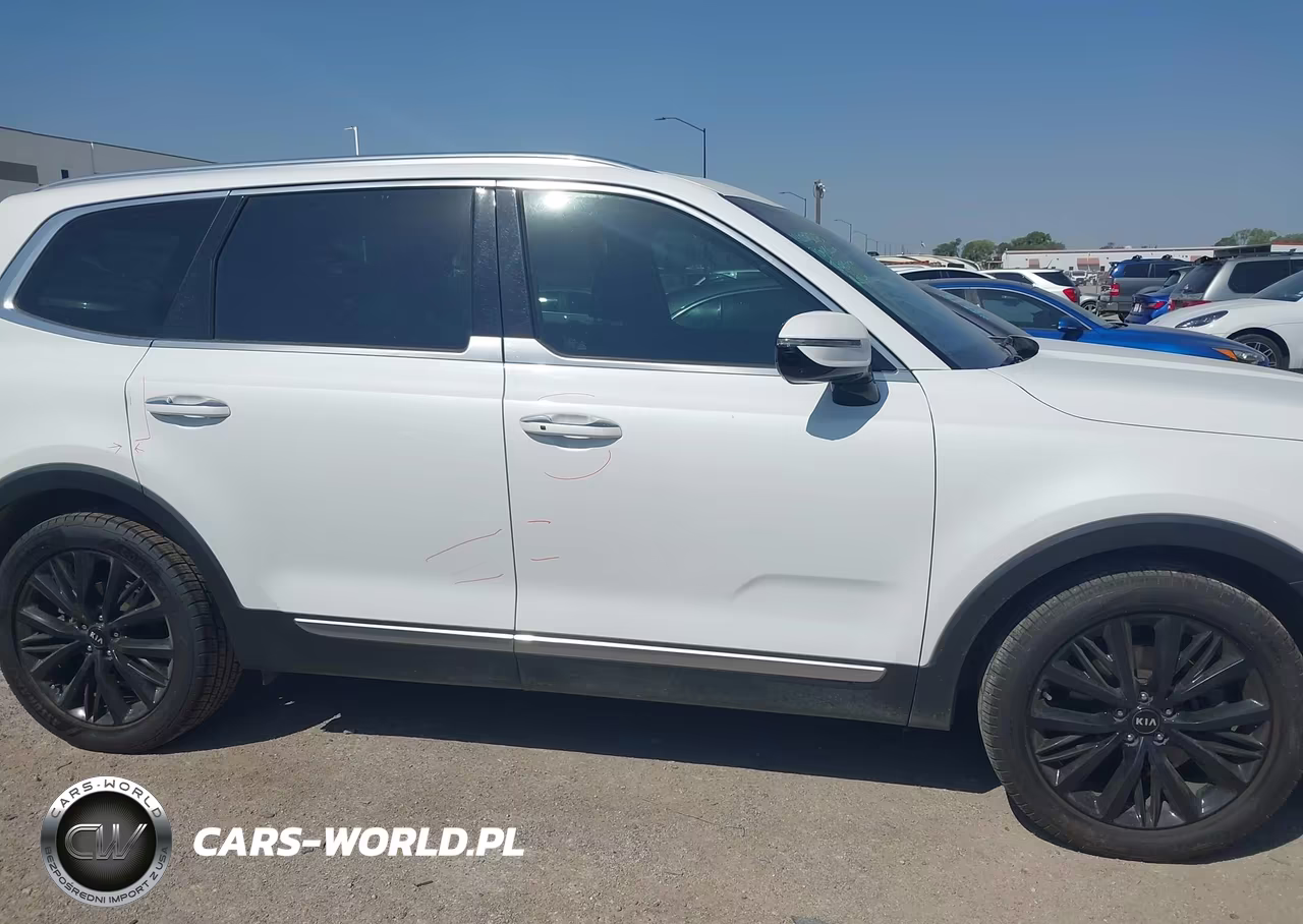 2020 Kia Telluride Sx VIN:5XYP5DHC6LG053161 - 13