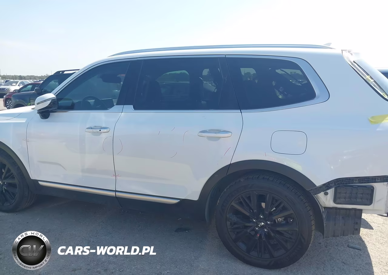 2020 Kia Telluride Sx VIN:5XYP5DHC6LG053161 - 14
