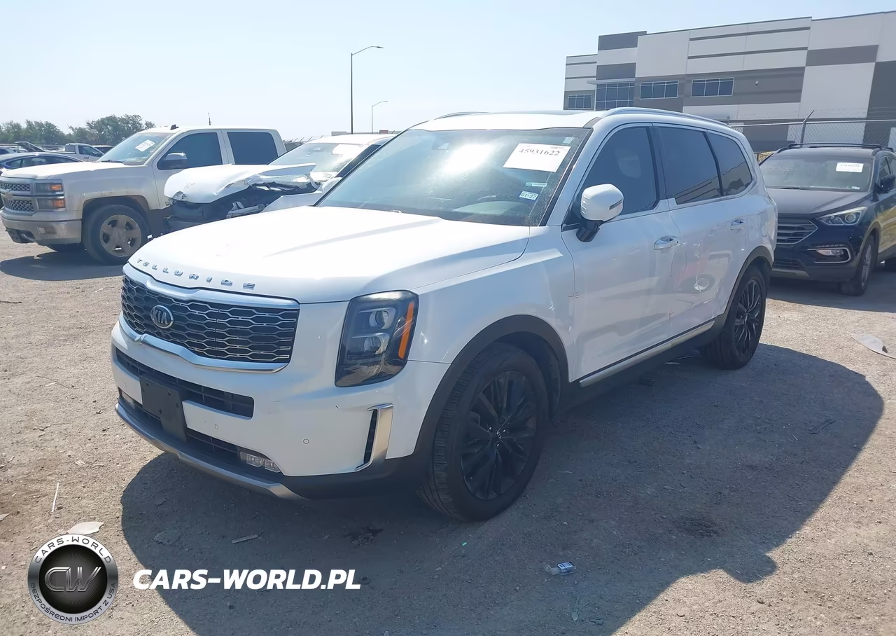 2020 Kia Telluride Sx VIN:5XYP5DHC6LG053161 - 2