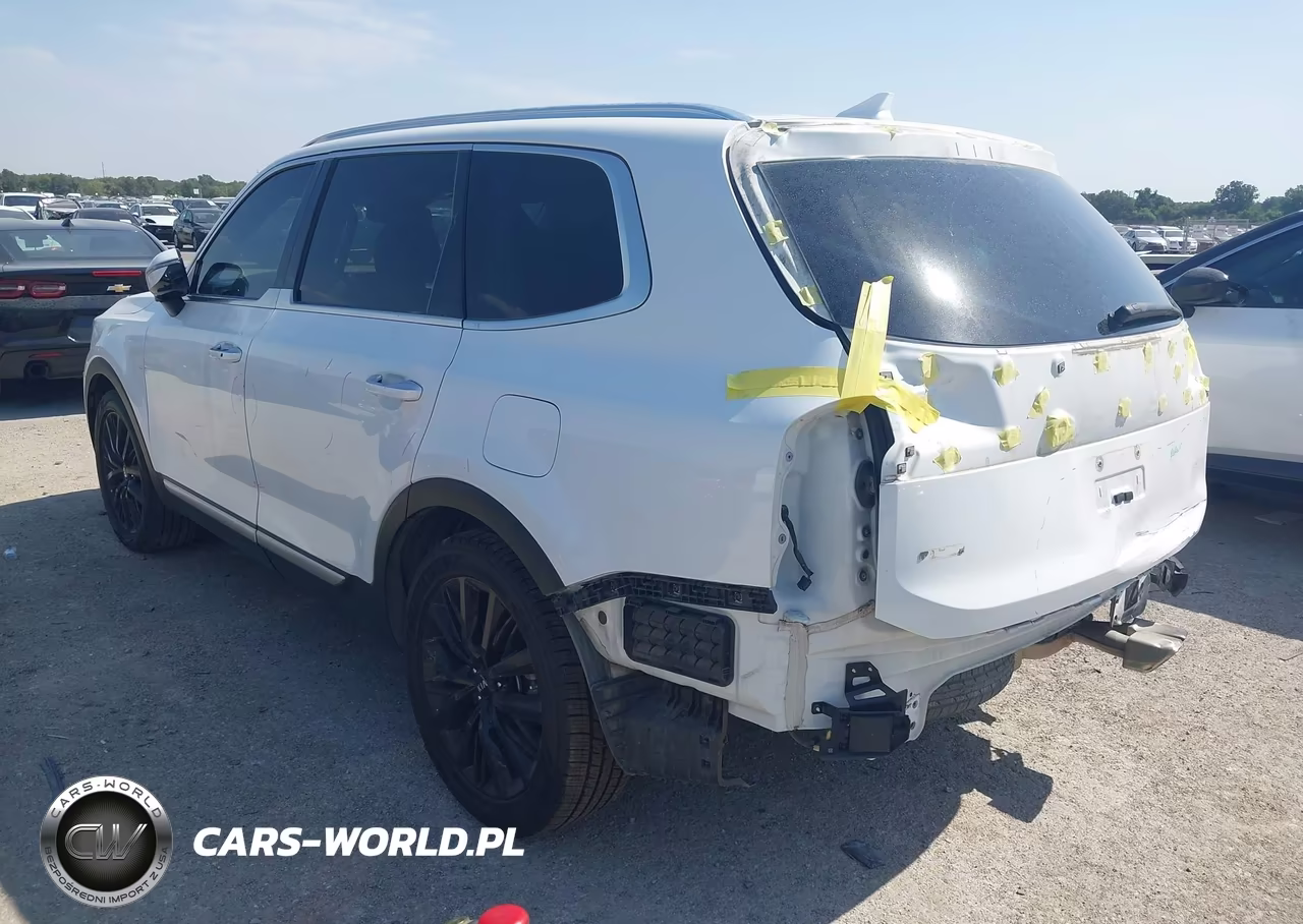 2020 Kia Telluride Sx VIN:5XYP5DHC6LG053161 - 3