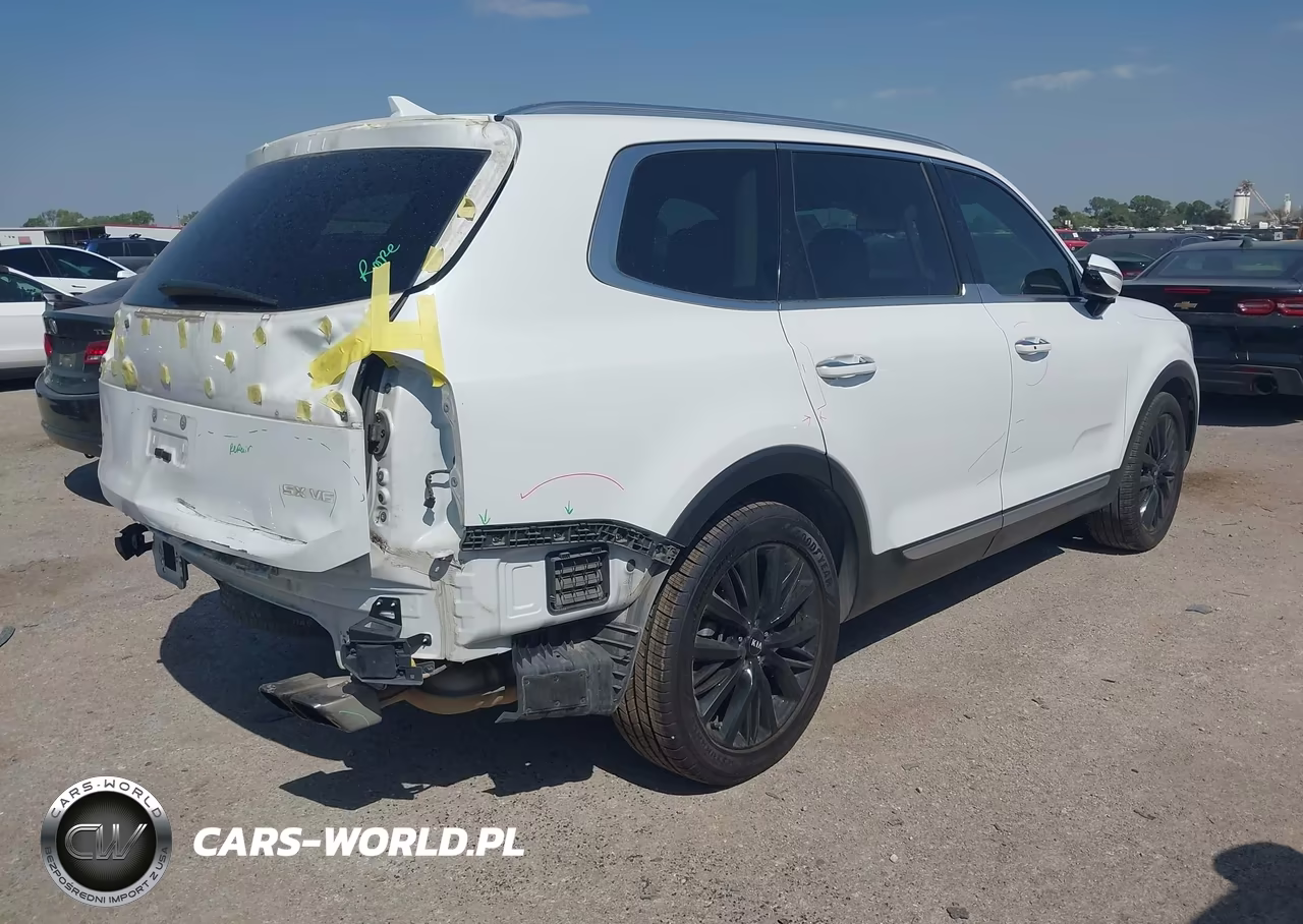 2020 Kia Telluride Sx VIN:5XYP5DHC6LG053161 - 4