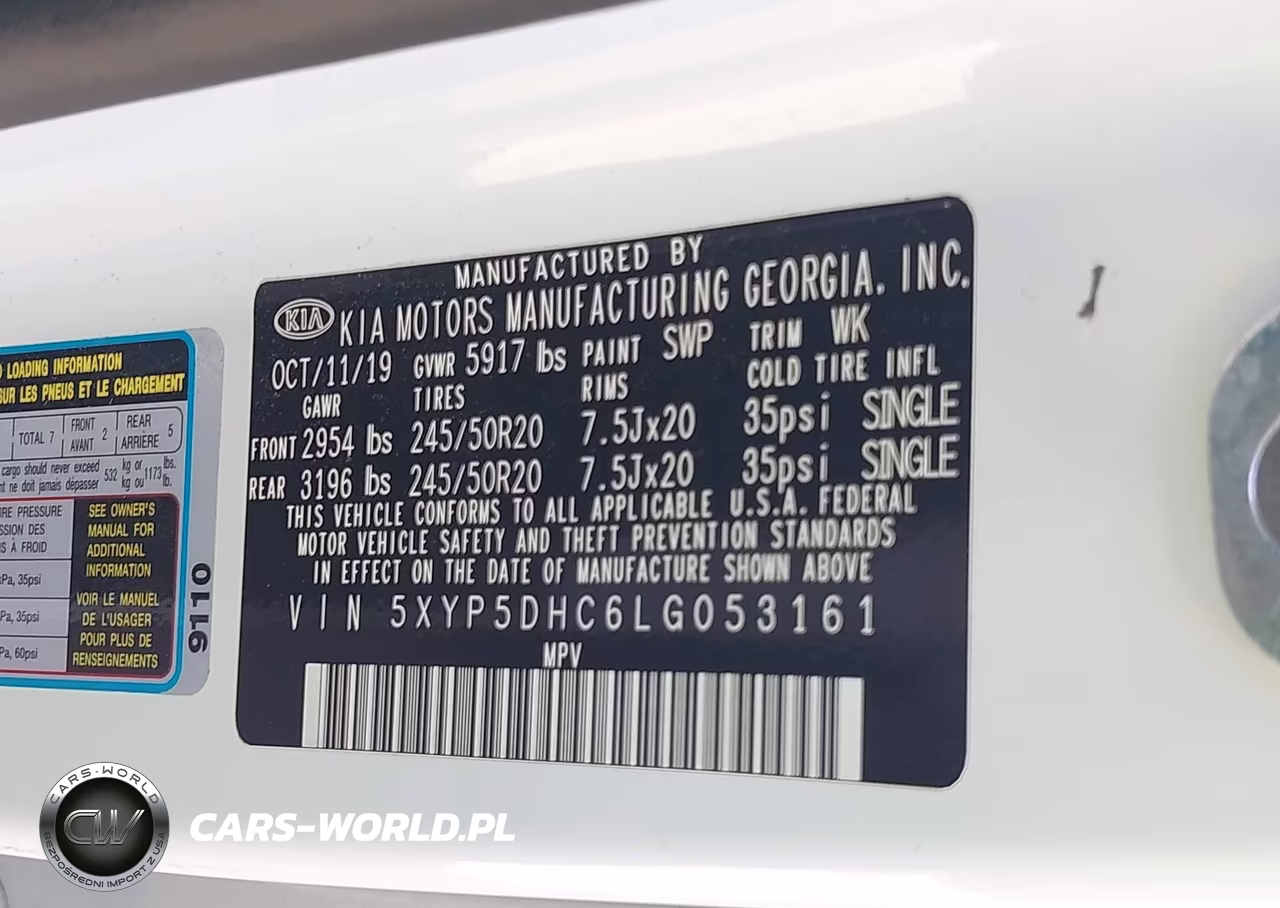 2020 Kia Telluride Sx VIN:5XYP5DHC6LG053161 - 9