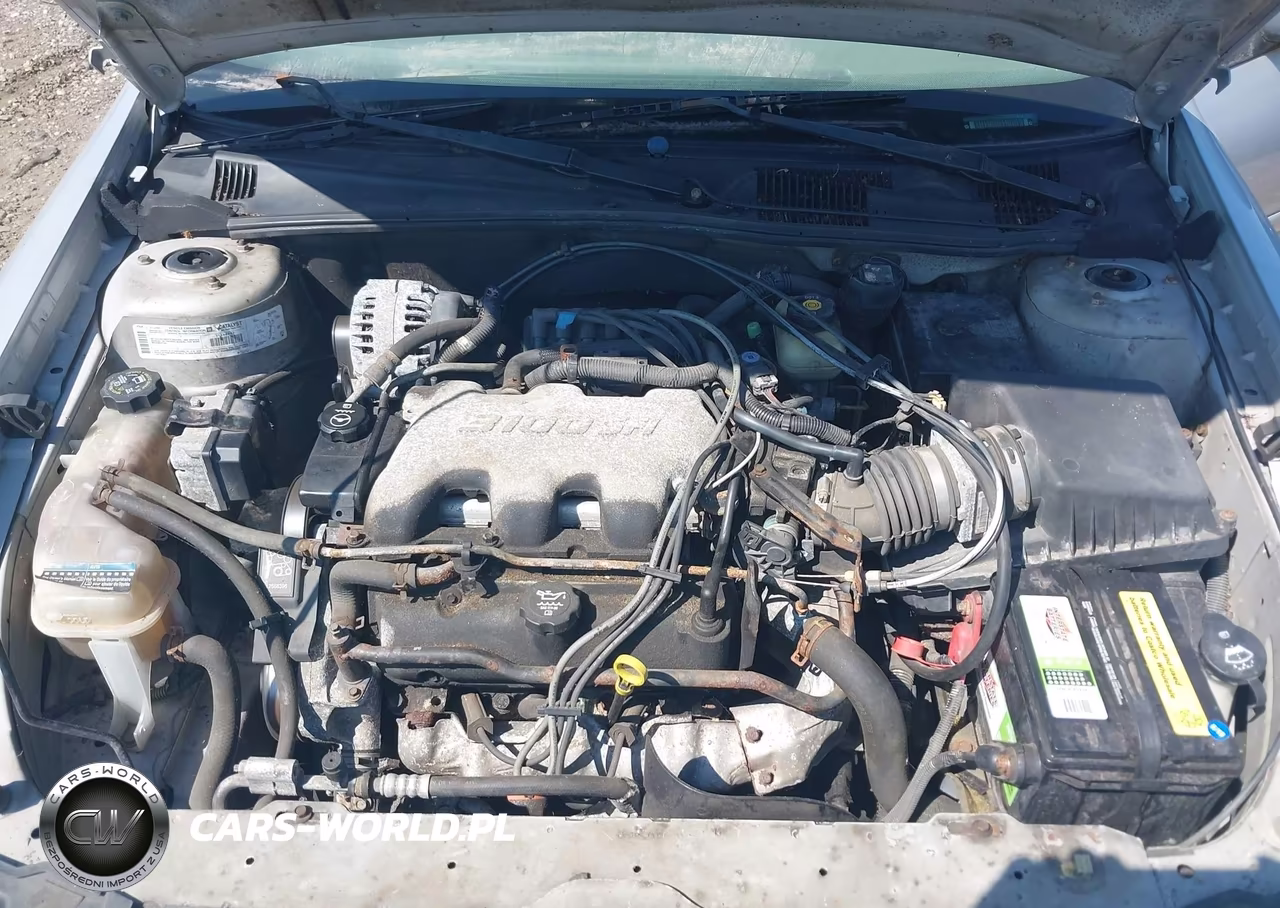 2003 Chevrolet Malibu VIN:1G1ND52J43M526845 - 10