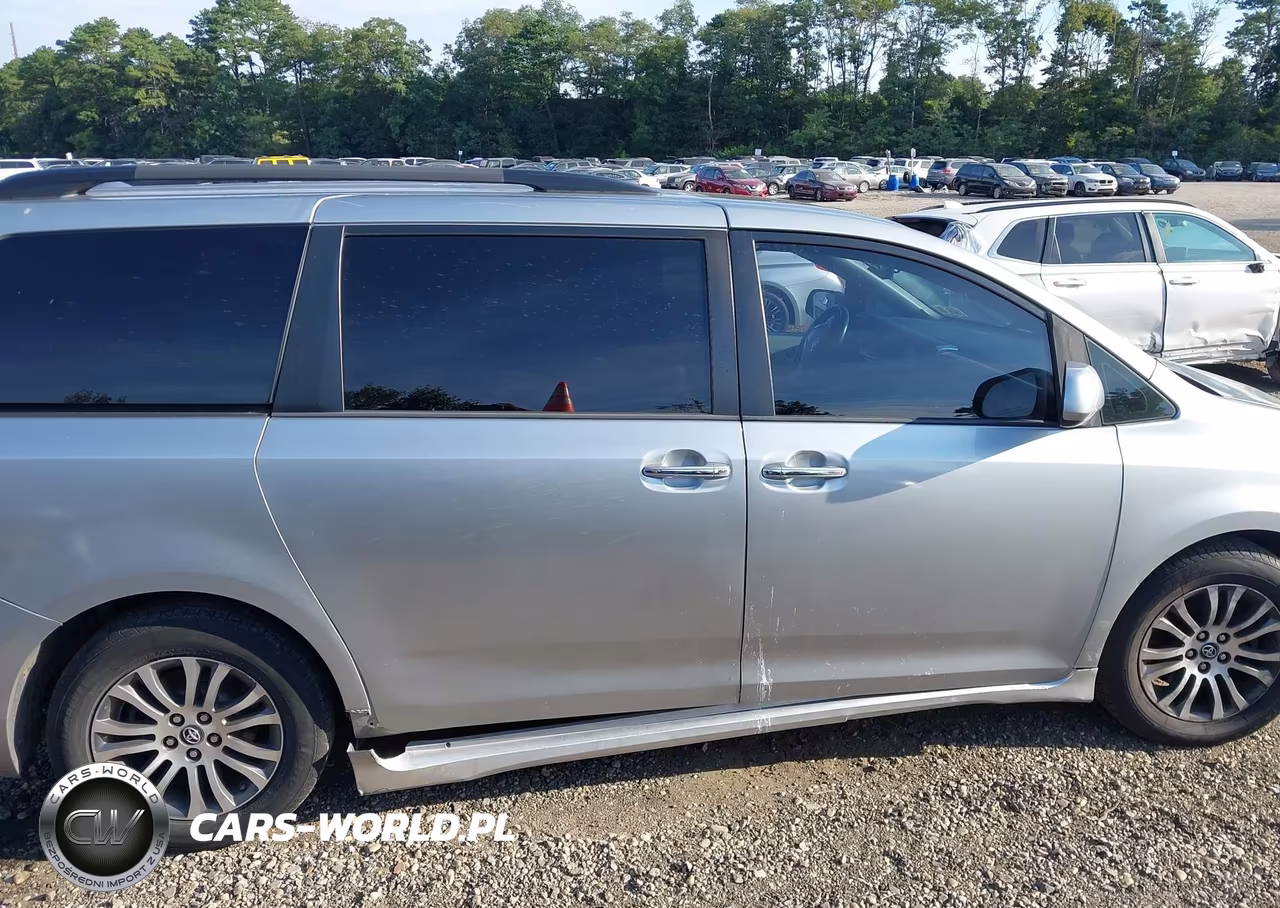 2019 Toyota Sienna Xle 8 Passenger VIN:5TDYZ3DC4KS983988 - 13