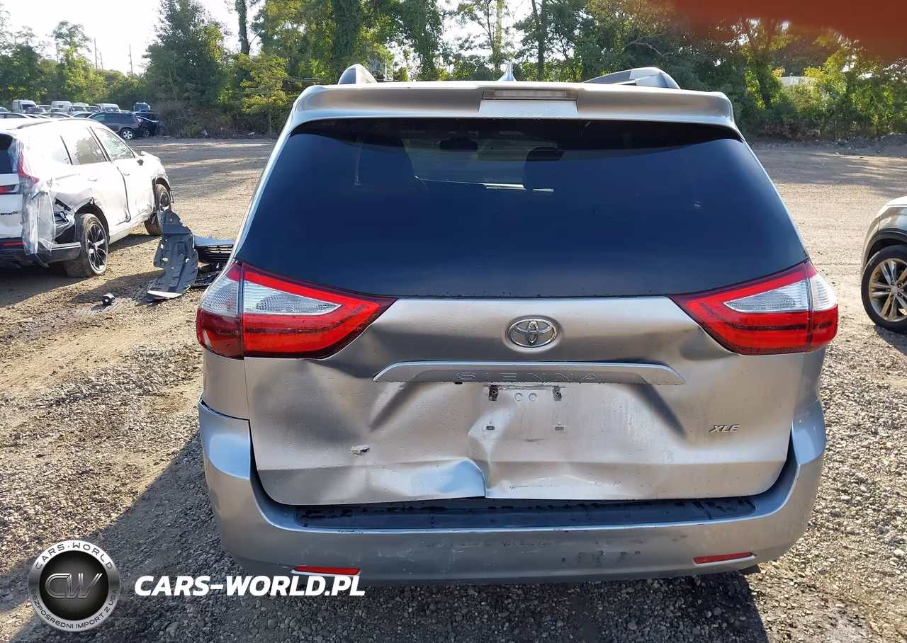 2019 Toyota Sienna Xle 8 Passenger VIN:5TDYZ3DC4KS983988 - 16