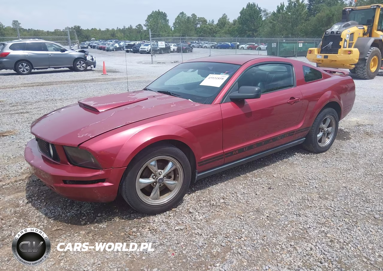 2005 Ford Mustang V6 Deluxe-V6 Premium VIN:1ZVFT80N655240012 - 2