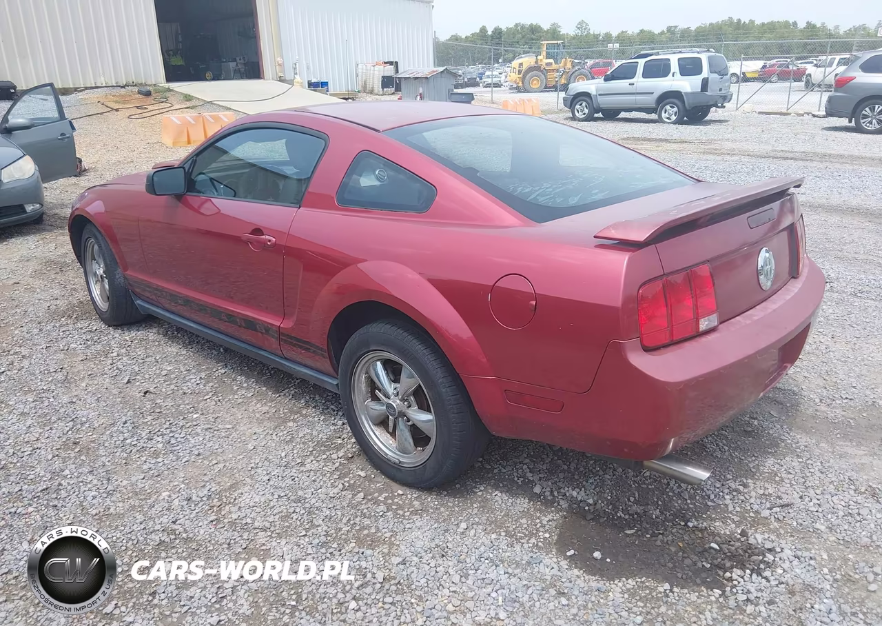 2005 Ford Mustang V6 Deluxe-V6 Premium VIN:1ZVFT80N655240012 - 3