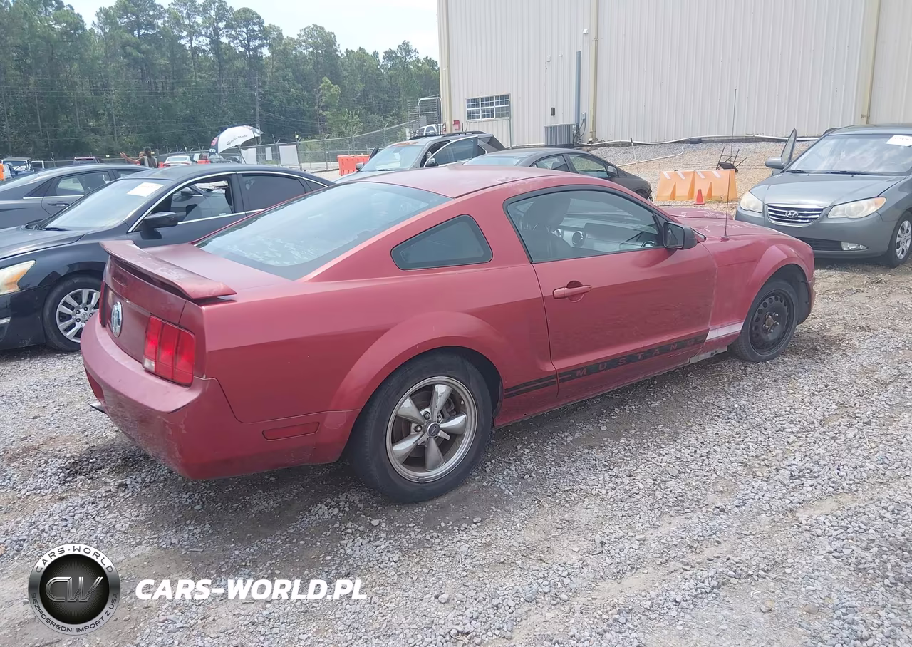2005 Ford Mustang V6 Deluxe-V6 Premium VIN:1ZVFT80N655240012 - 4