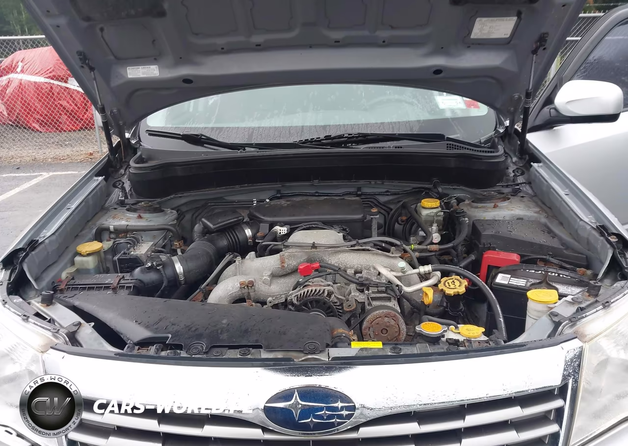 2010 Subaru Forester 2.5X Premium VIN:JF2SH6CC6AH783193 - 10