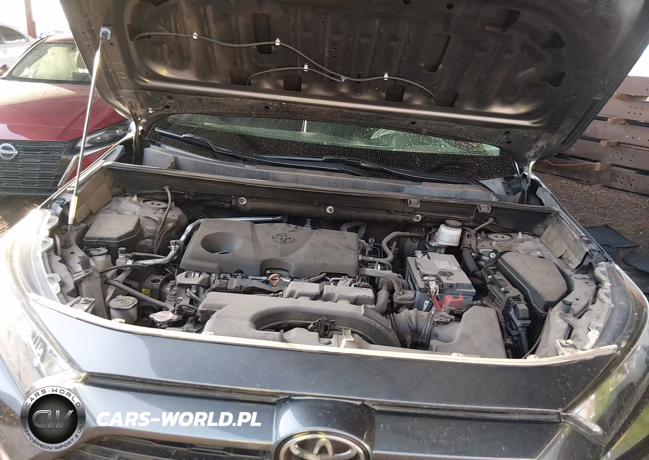 2019 Toyota Rav4 Le VIN:2T3H1RFV1KC023455 - 10