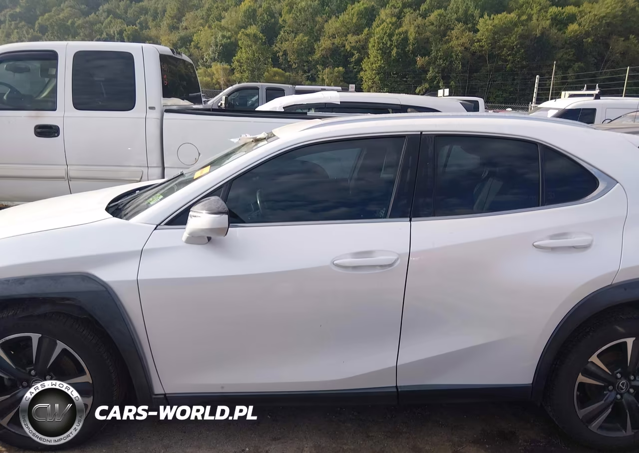 2019 Lexus Ux 200 VIN:JTHY3JBH9K2004265 - 14