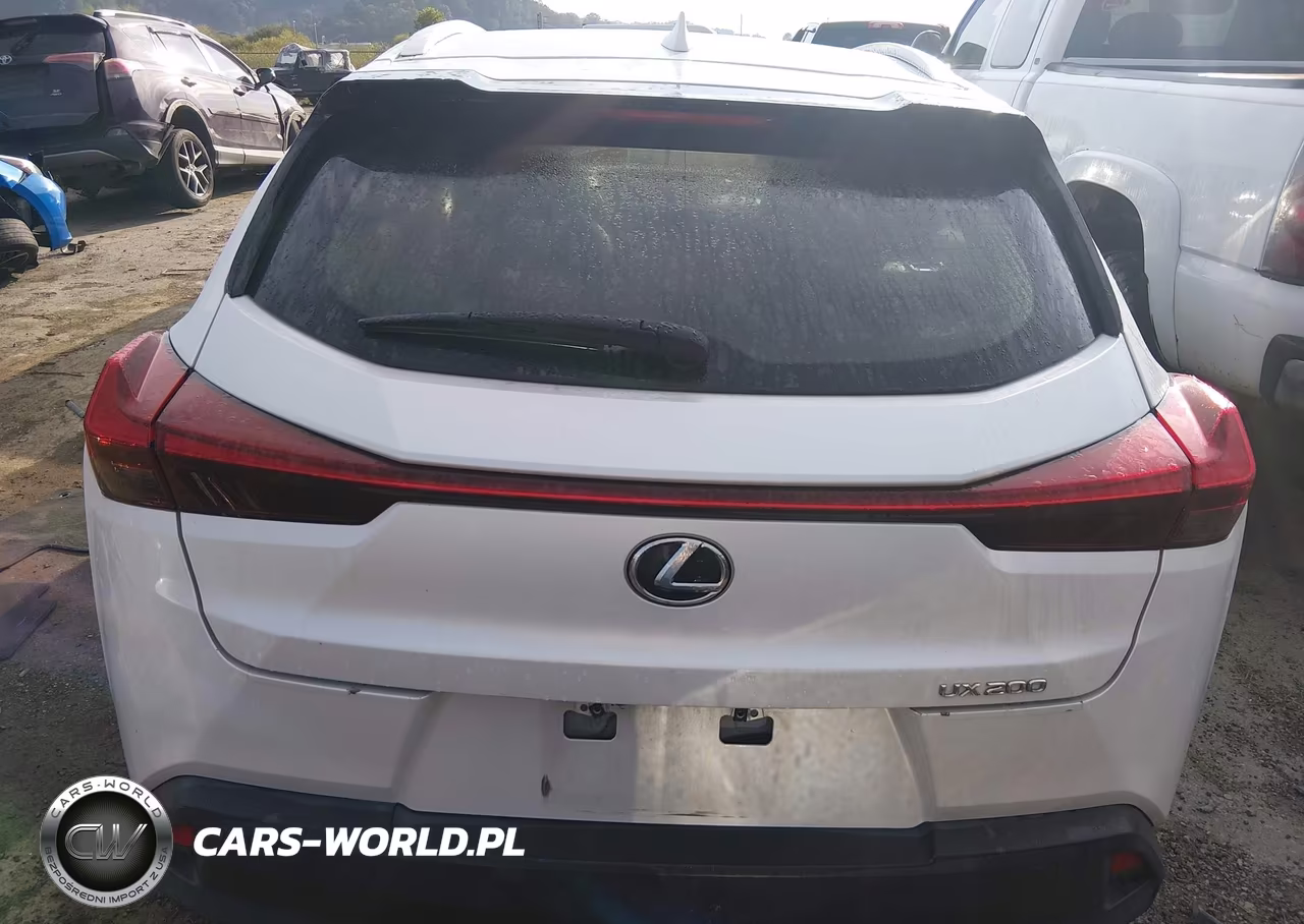 2019 Lexus Ux 200 VIN:JTHY3JBH9K2004265 - 16