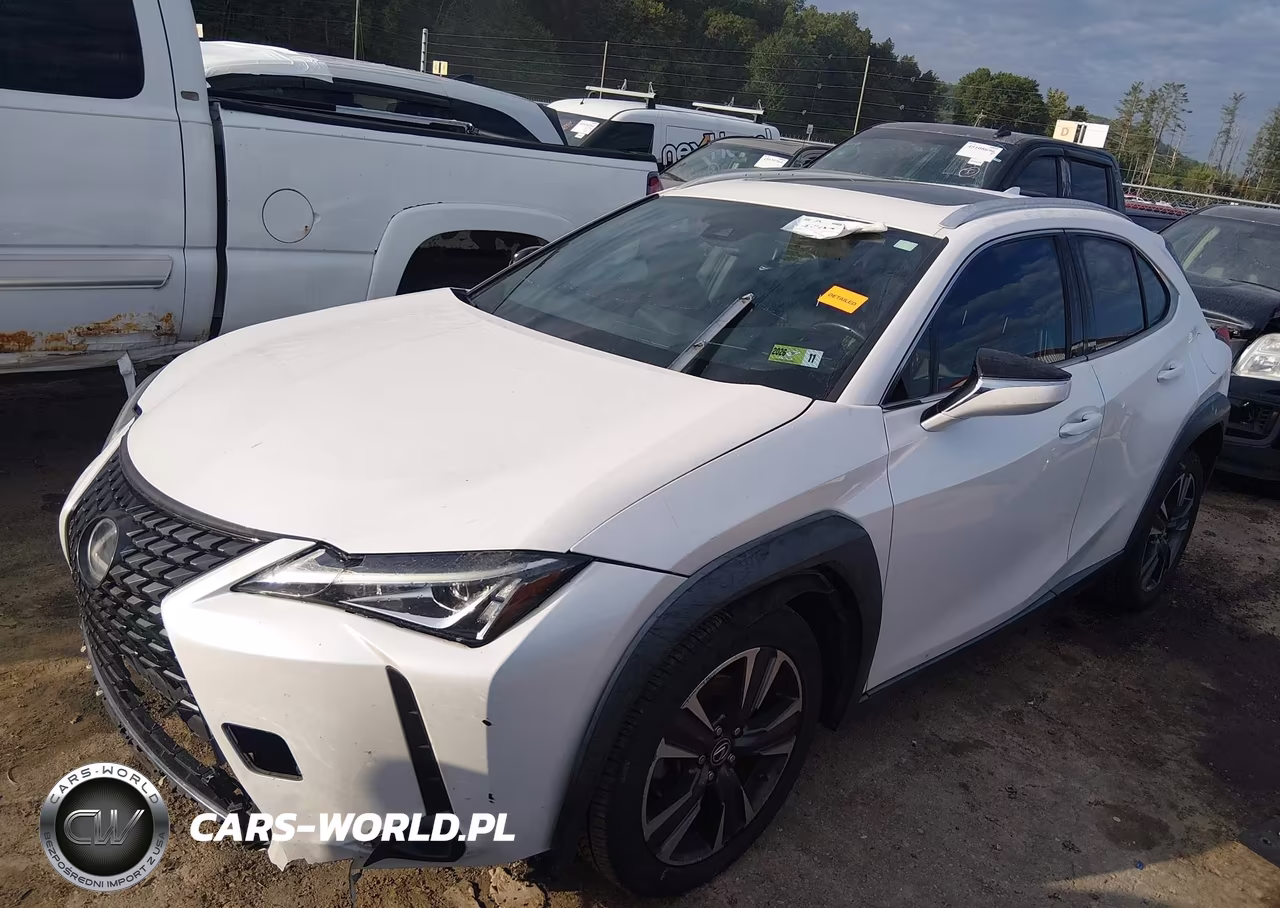 2019 Lexus Ux 200 VIN:JTHY3JBH9K2004265 - 2