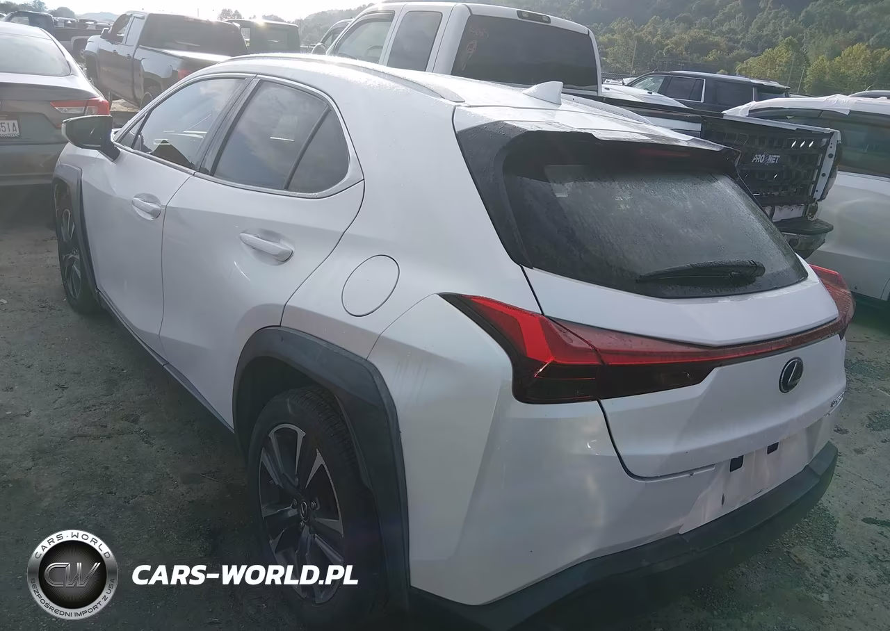 2019 Lexus Ux 200 VIN:JTHY3JBH9K2004265 - 3
