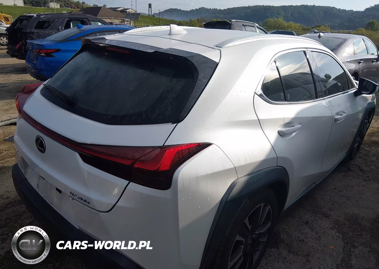 2019 Lexus Ux 200 VIN:JTHY3JBH9K2004265 - 4