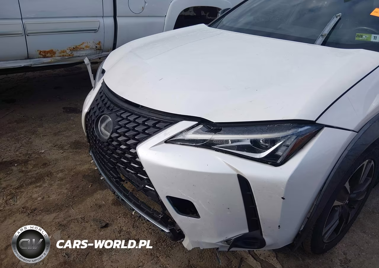 2019 Lexus Ux 200 VIN:JTHY3JBH9K2004265 - 6