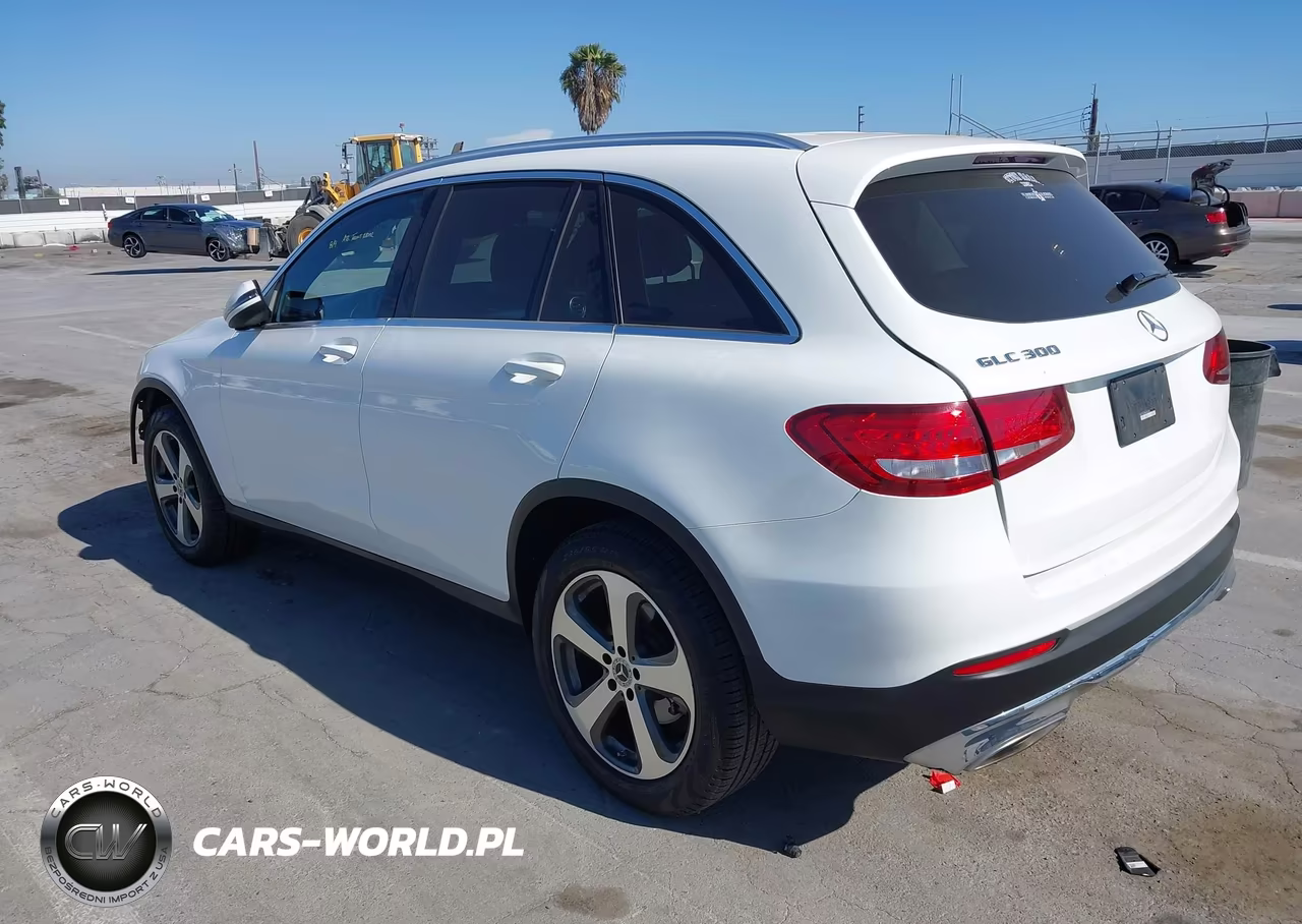 2017 Mercedes-Benz Glc 300 VIN:WDC0G4JB8HF242895 - 3