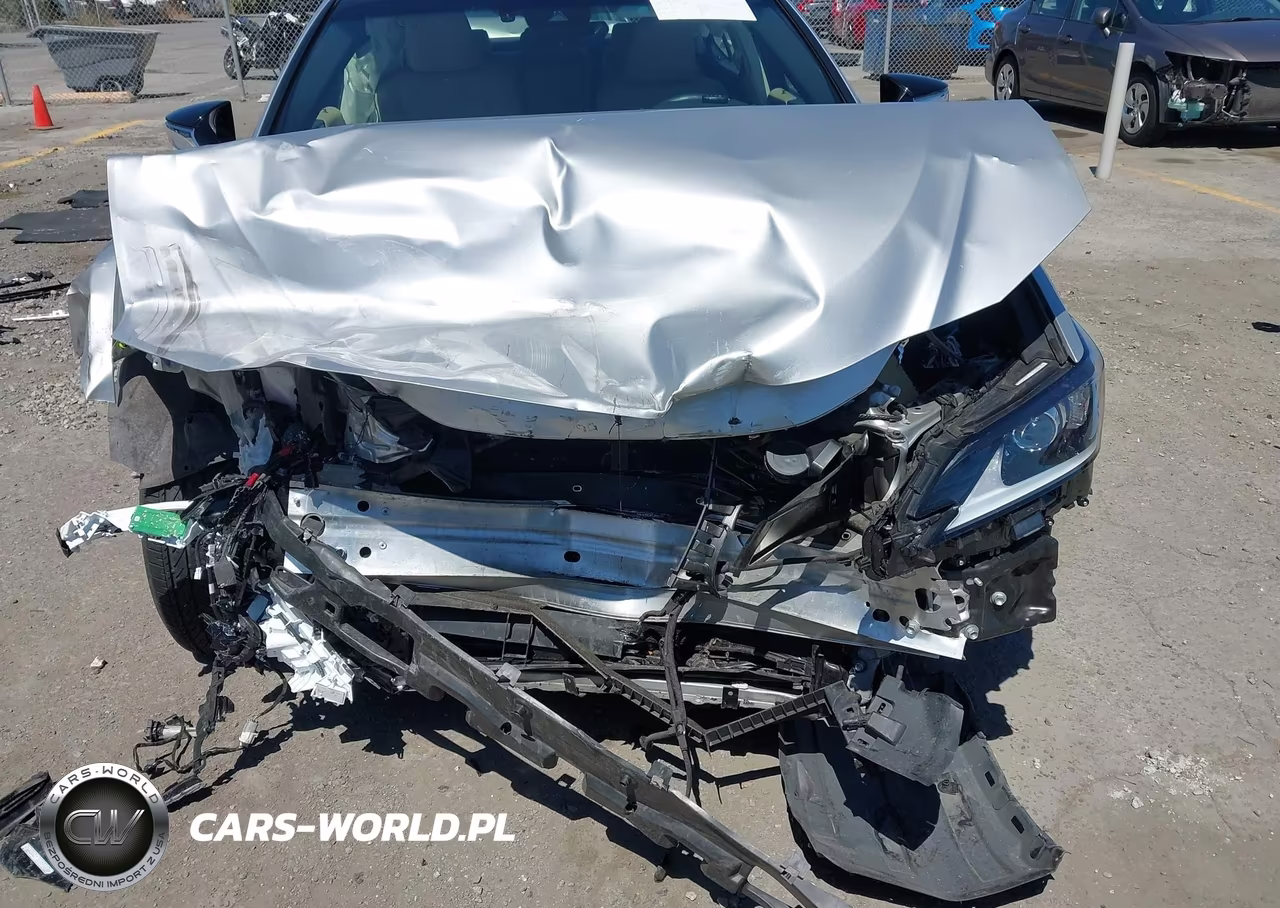 2019 Lexus Es 300H VIN:JTHB21B1XK2006554 - 6