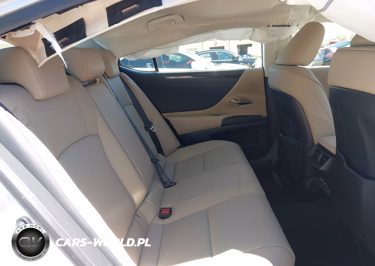 2019 Lexus Es 300H VIN:JTHB21B1XK2006554 - 8