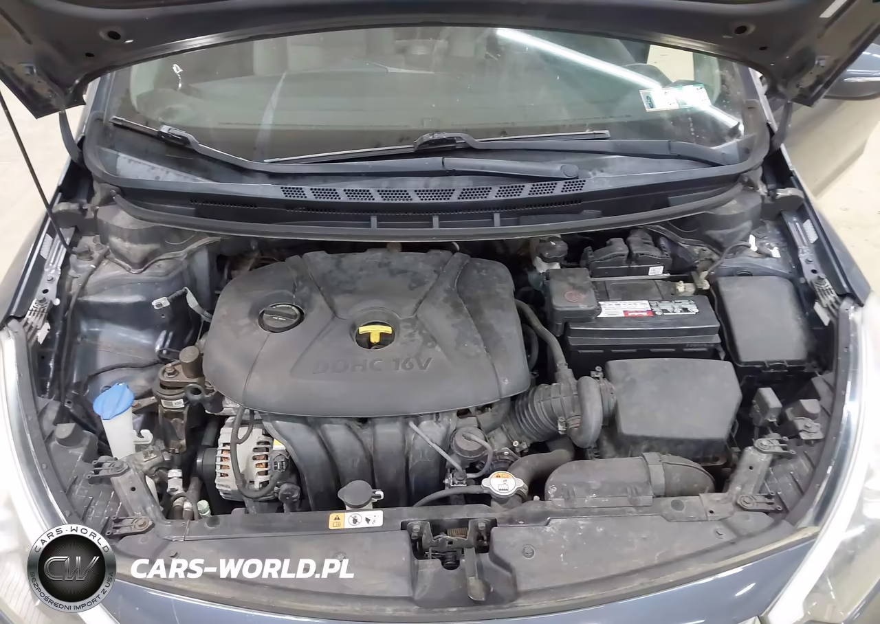 2016 Kia Forte Lx VIN:KNAFX4A66G5437687 - 10