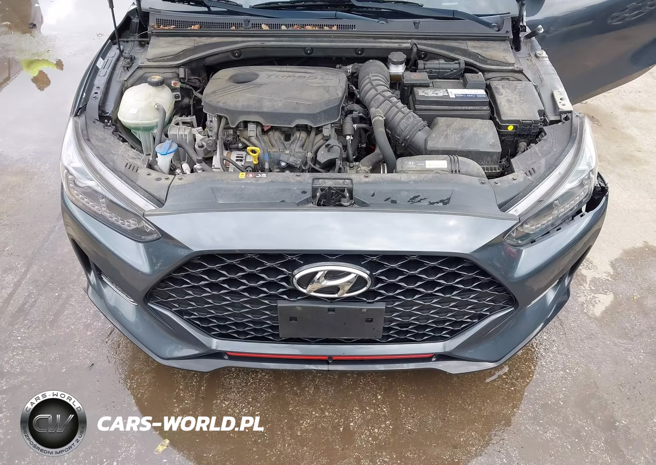 2020 Hyundai Veloster Turbo VIN:KMHTH6AB9LU021270 - 10
