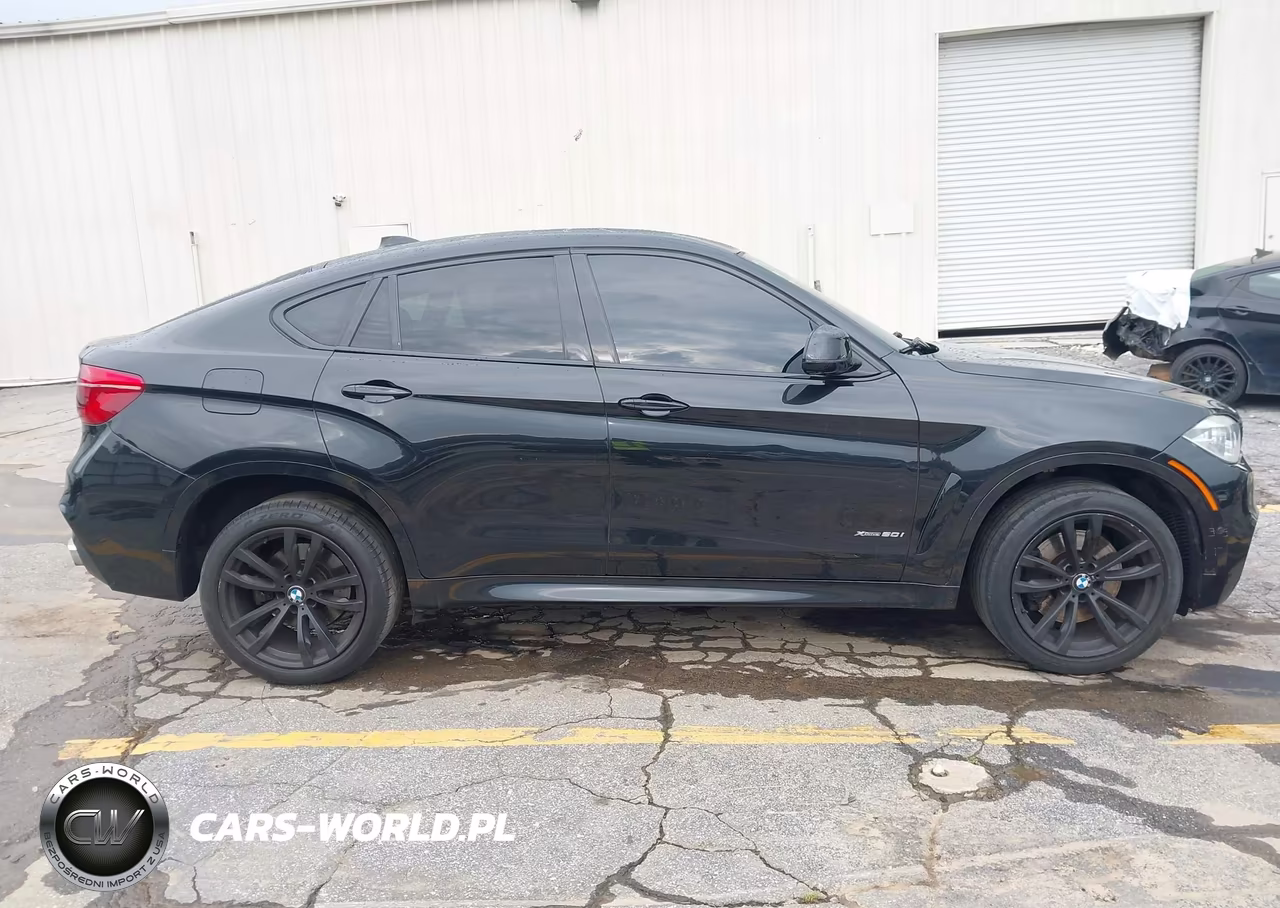 2018 BMW X6 xDrive50I VIN:5UXKU6C58J0Z66538 - 13