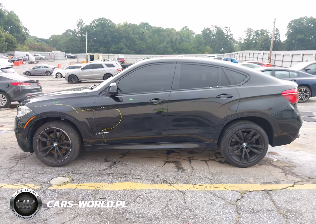 2018 BMW X6 xDrive50I VIN:5UXKU6C58J0Z66538 - 14