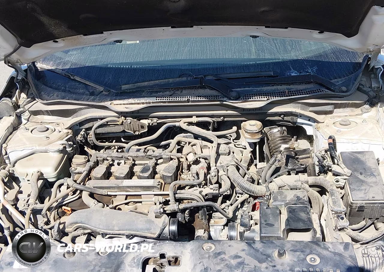 2020 Honda Civic Ex VIN:19XFC1F3XLE002729 - 10