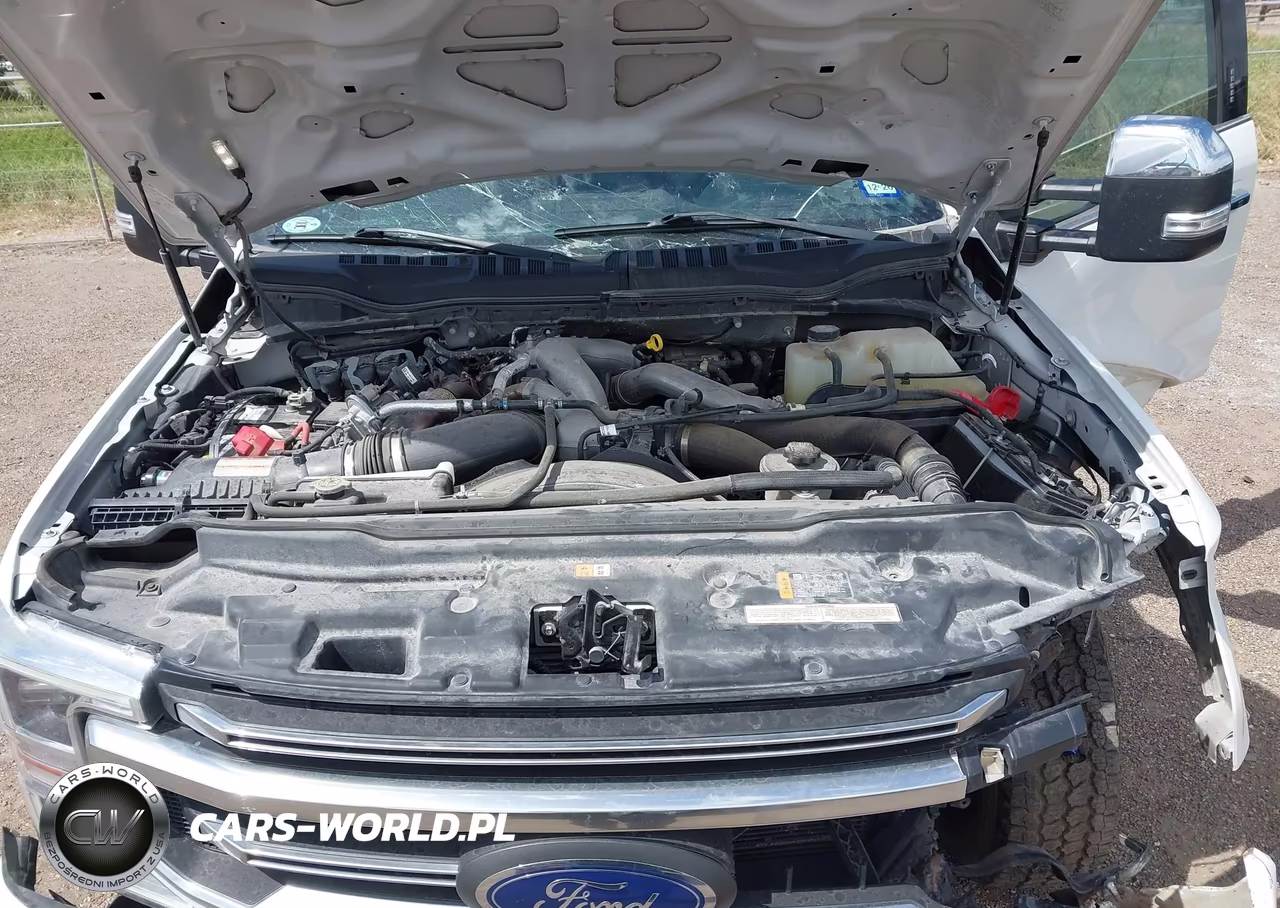 2020 Ford F250 Super Duty VIN:1FT8W2BT4LEE17990 - 9