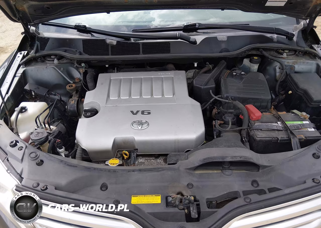 2009 Toyota Venza VIN:4T3BK11A69U020732 - 10