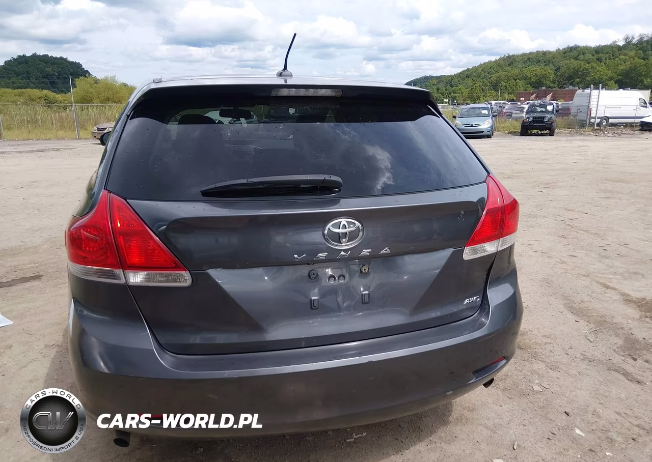 2009 Toyota Venza VIN:4T3BK11A69U020732 - 16