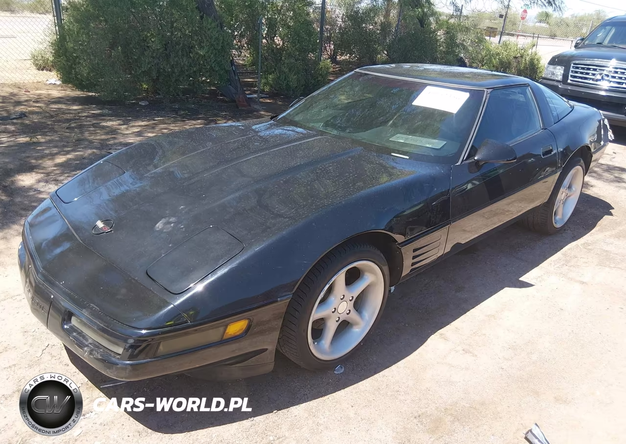 1993 Chevrolet Corvette VIN:1G1YY23P2P5111915 - 2