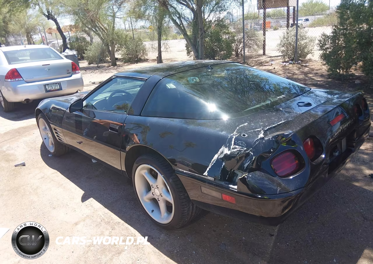 1993 Chevrolet Corvette VIN:1G1YY23P2P5111915 - 3