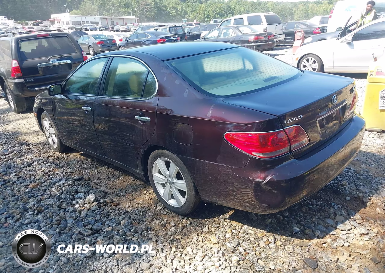 2005 Lexus Es 330 VIN:JTHBA30G655122570 - 3