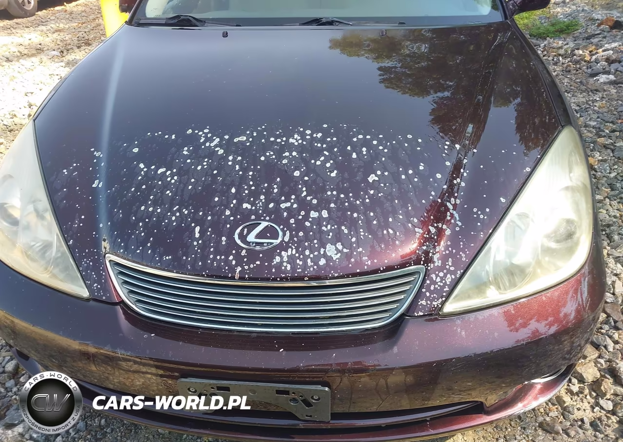 2005 Lexus Es 330 VIN:JTHBA30G655122570 - 6