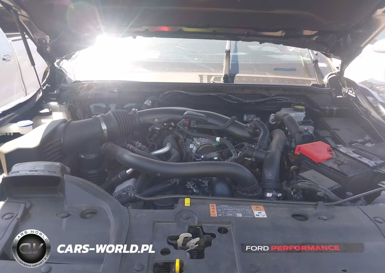 2025 Ford Ranger Raptor VIN:1FTER4LR4SLE20455 - 10
